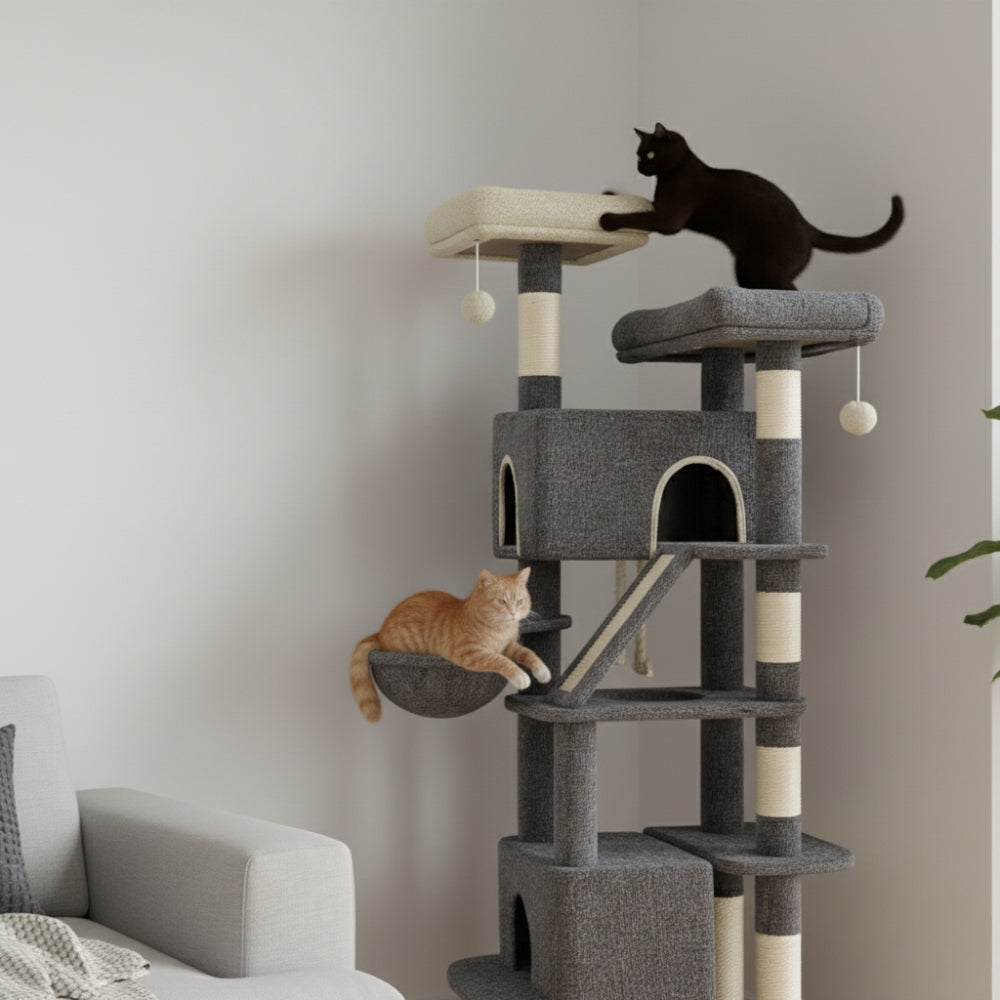 Arbre À Chat - Uranus