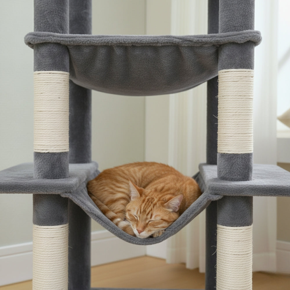 Arbre À Chat - Milou