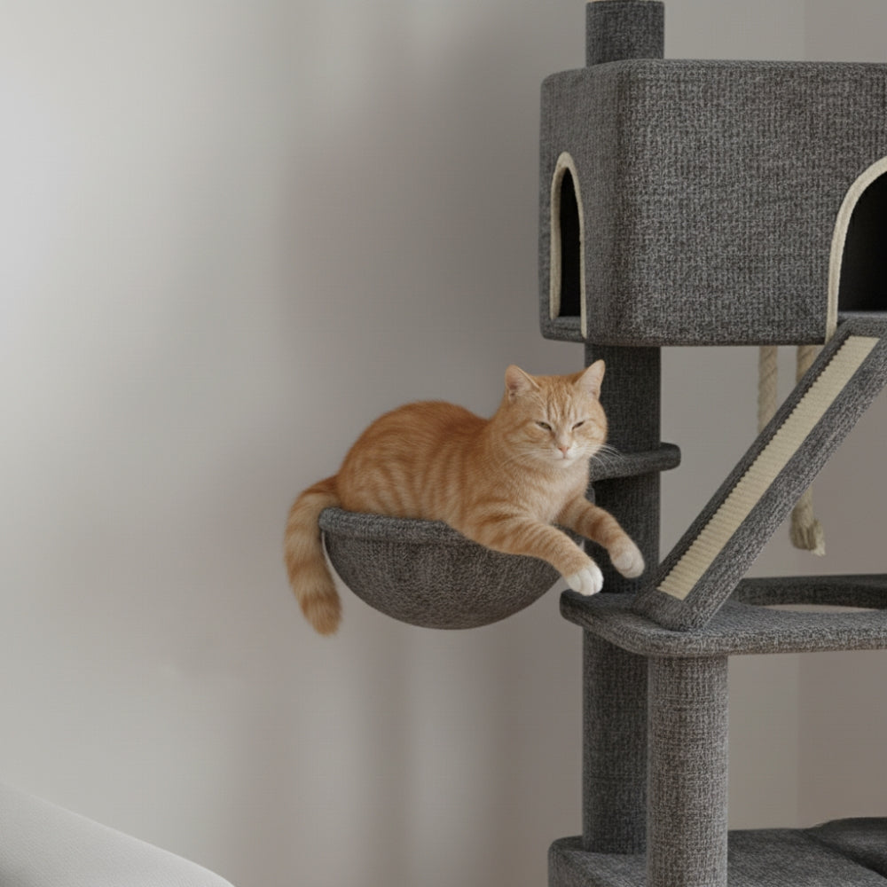 Arbre À Chat - Uranus