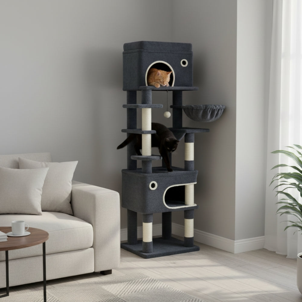 Arbre À Chat - Manaï