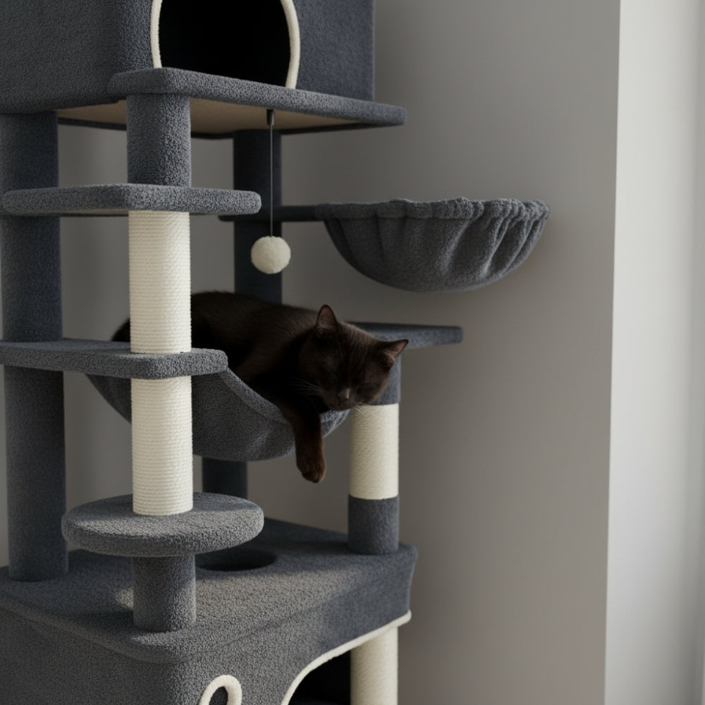 Arbre À Chat - Manaï