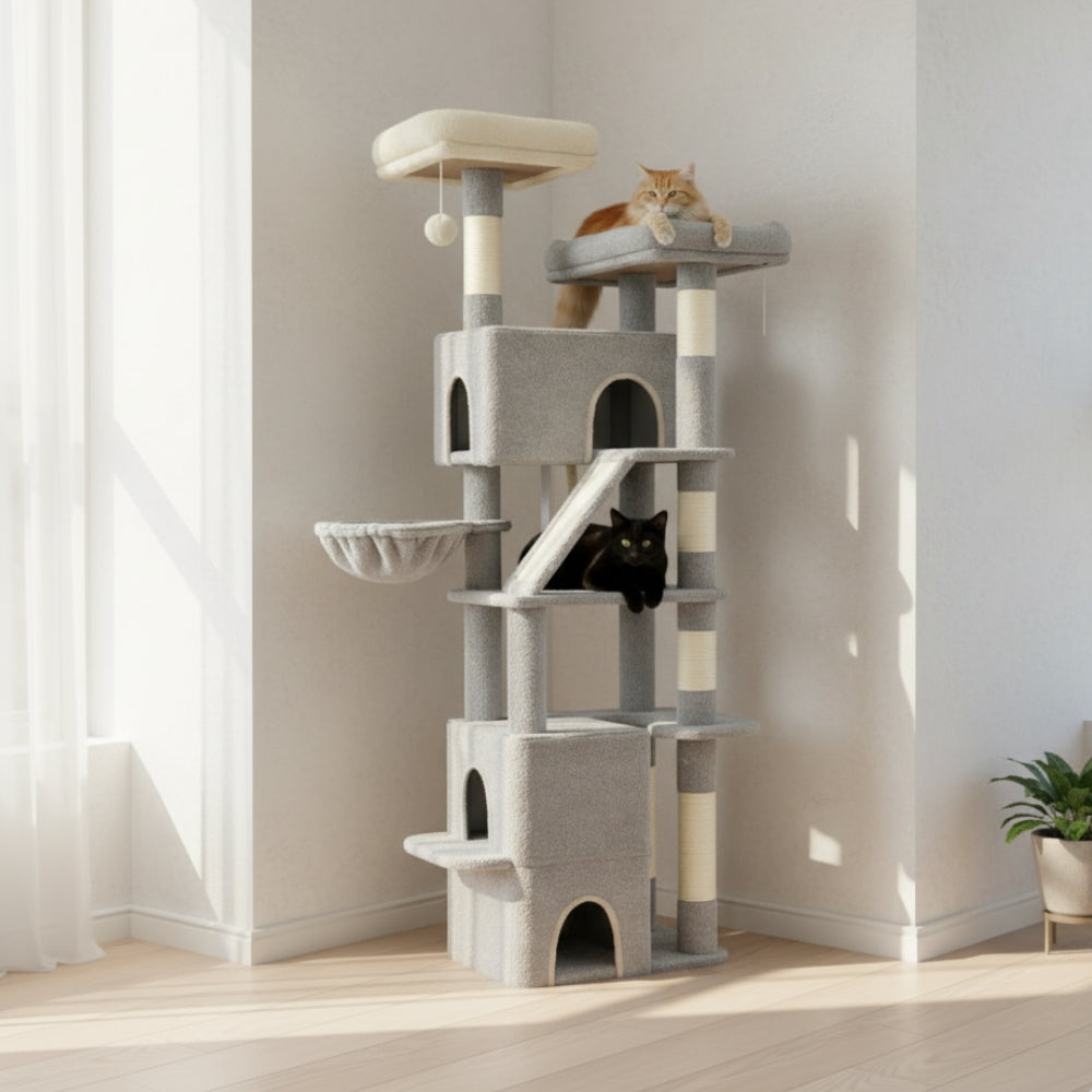 Arbre À Chat - Uranus