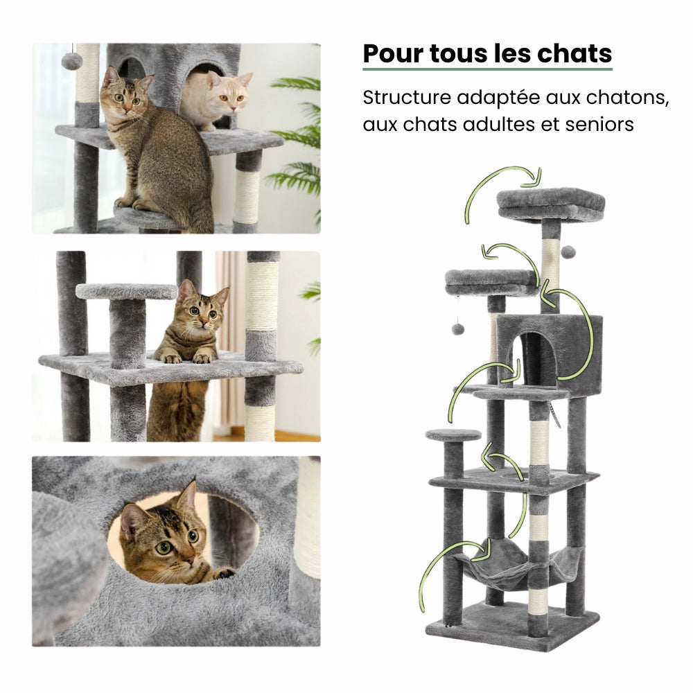 Arbre À Chat Gris Anthracite