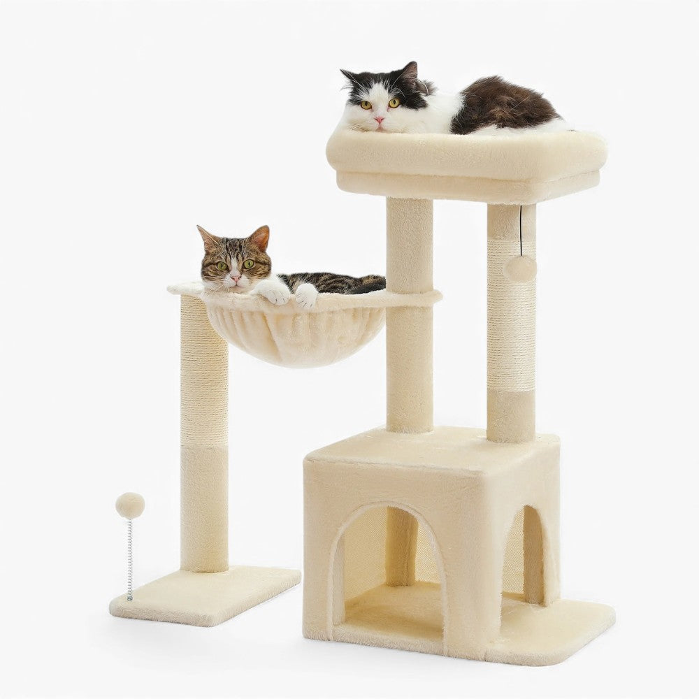 Arbre À Chat - Cookie