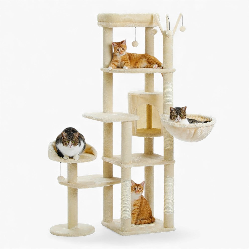 Arbre À Chat - Zouzou