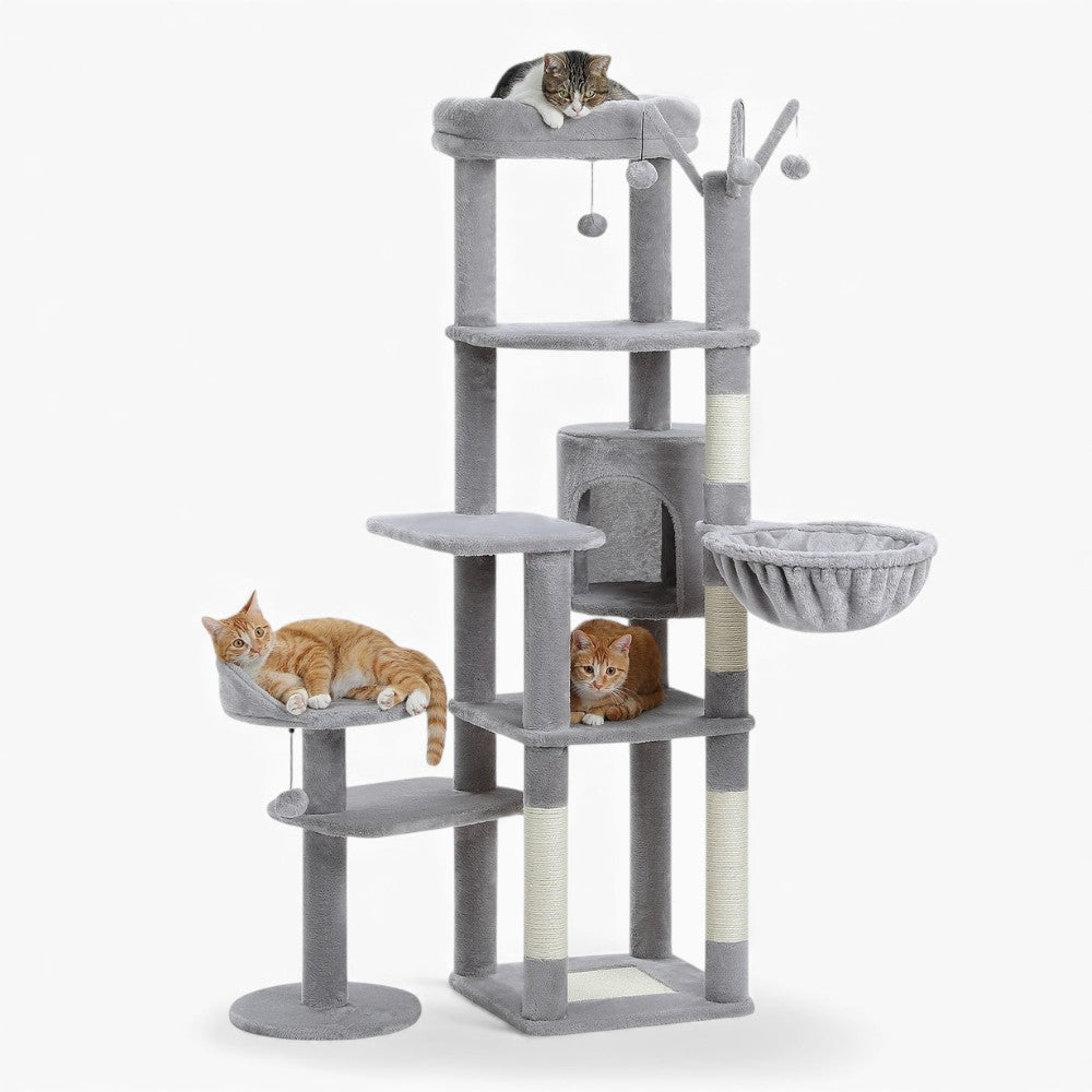 Arbre À Chat - Zouzou