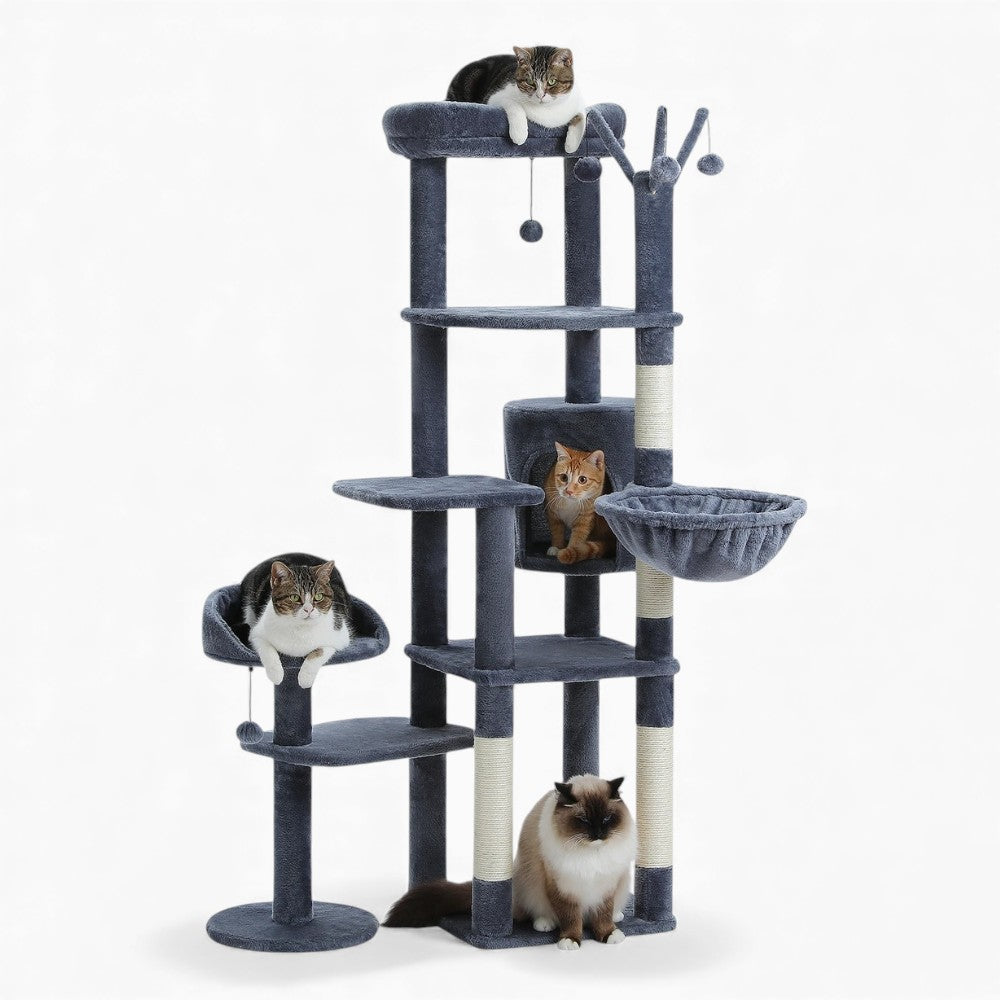 Arbre À Chat - Zouzou