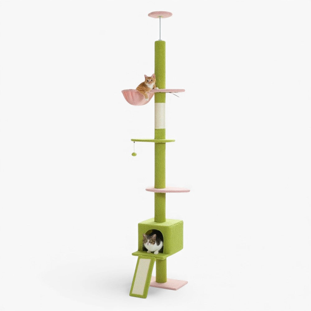 Arbre À Chat - Alex