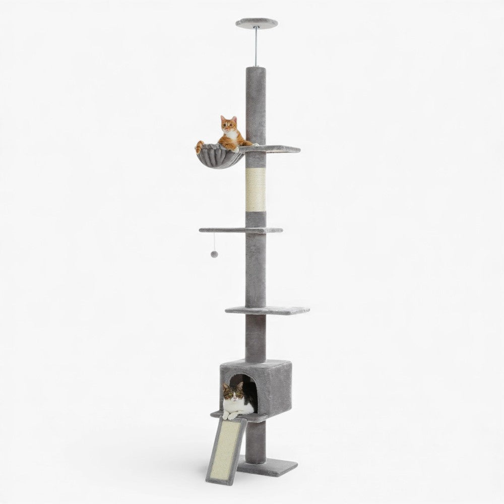 Arbre À Chat - Alex