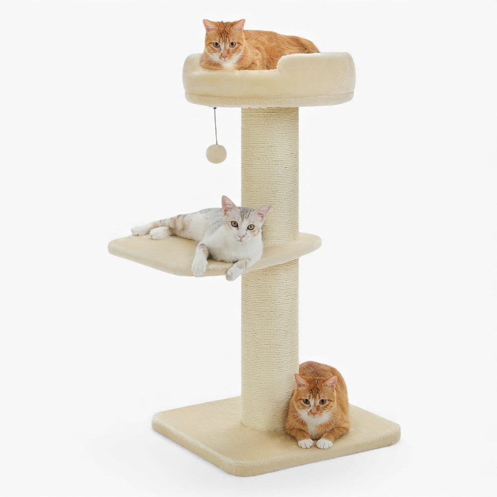 Arbre À Chat - Frimousse