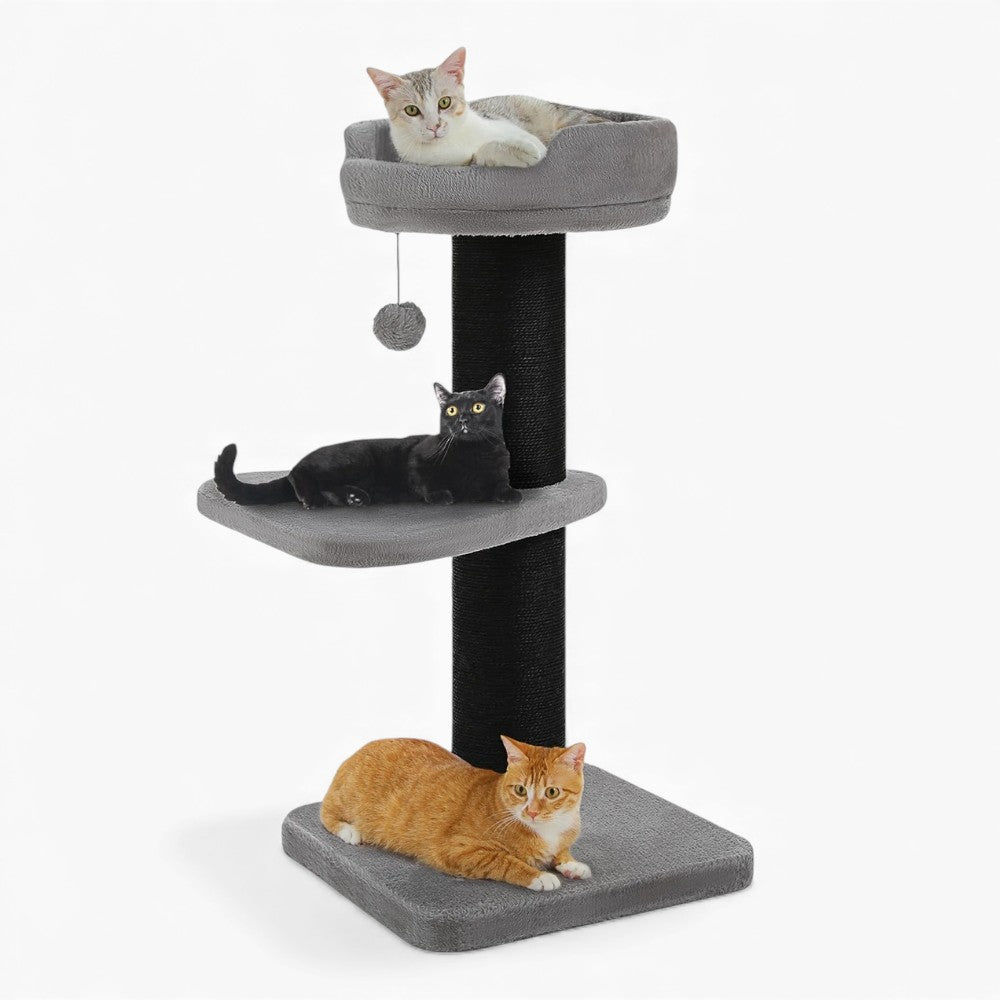 Arbre À Chat - Frimousse