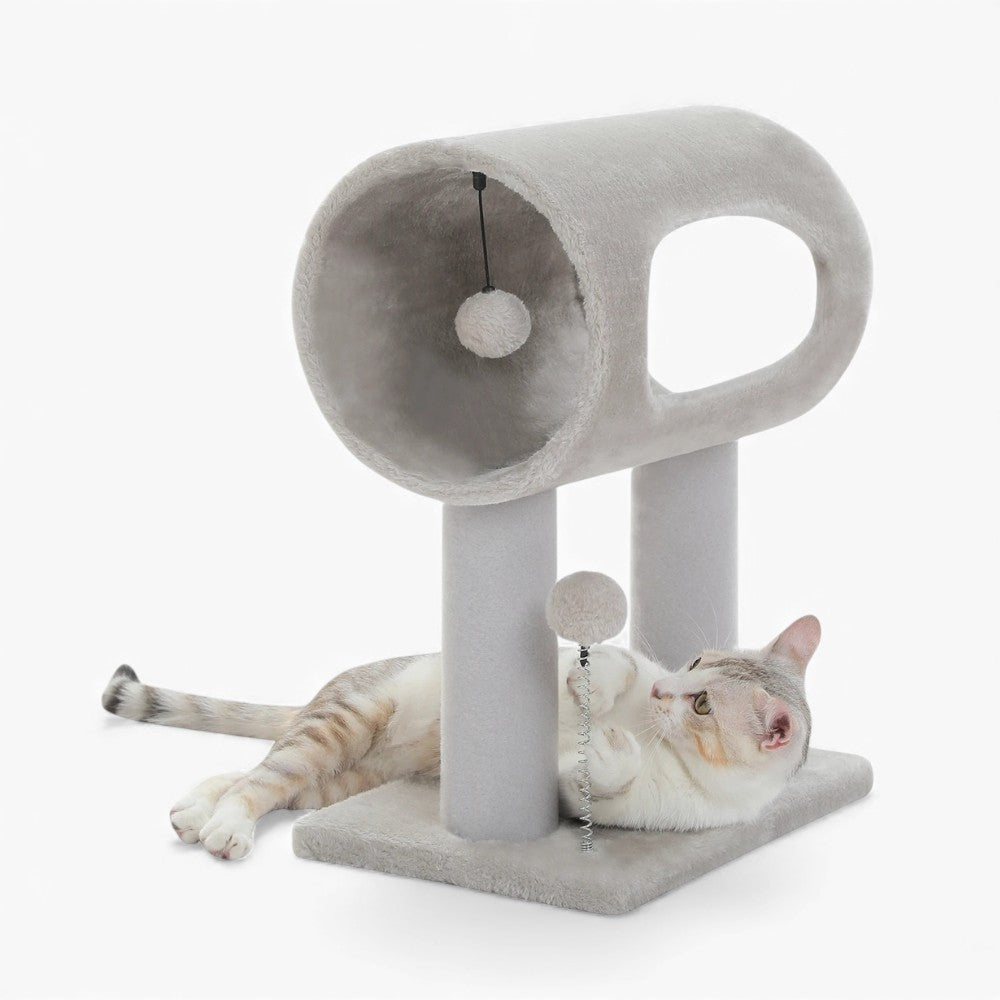 Arbre À Chat - Molly