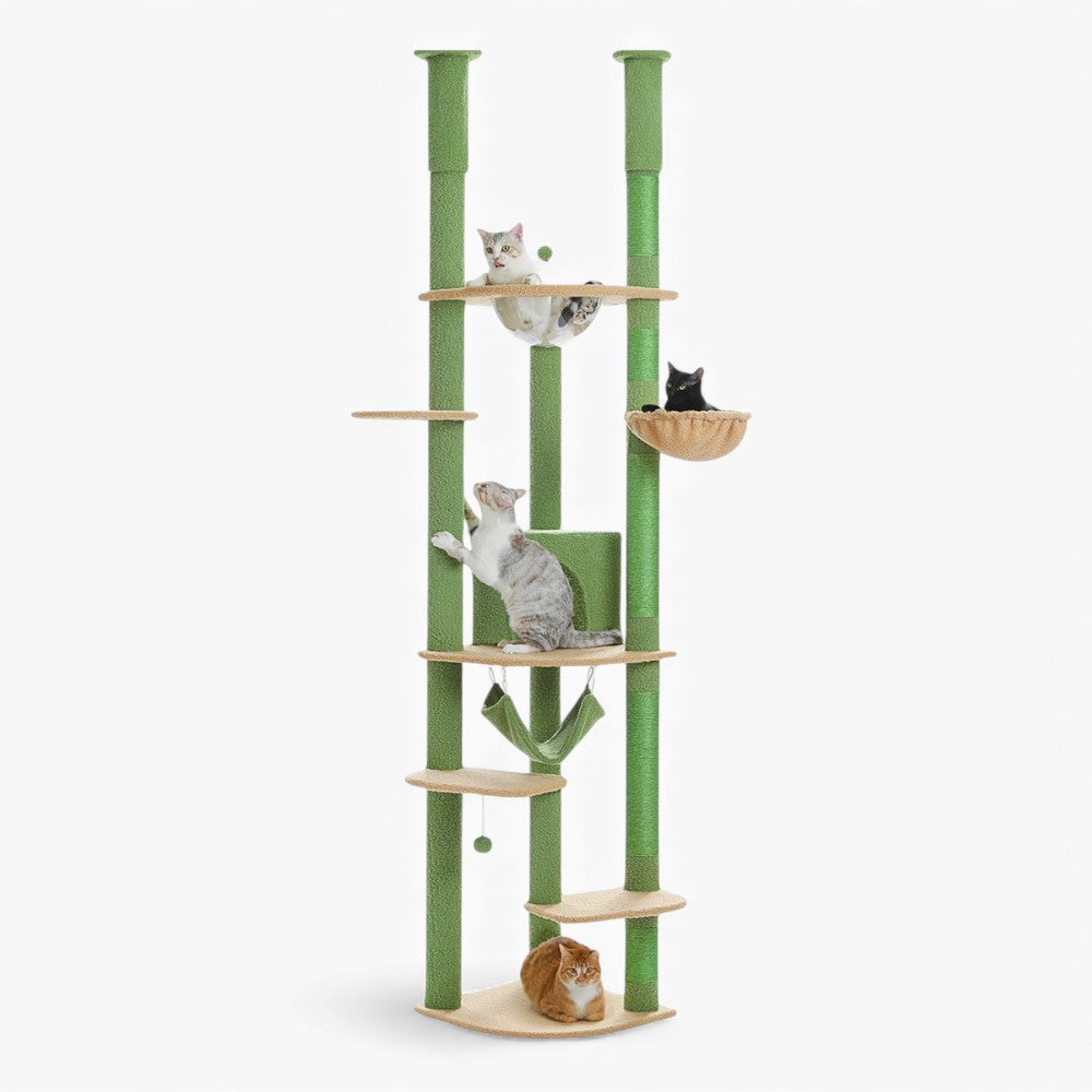 Arbre À Chat - Choco