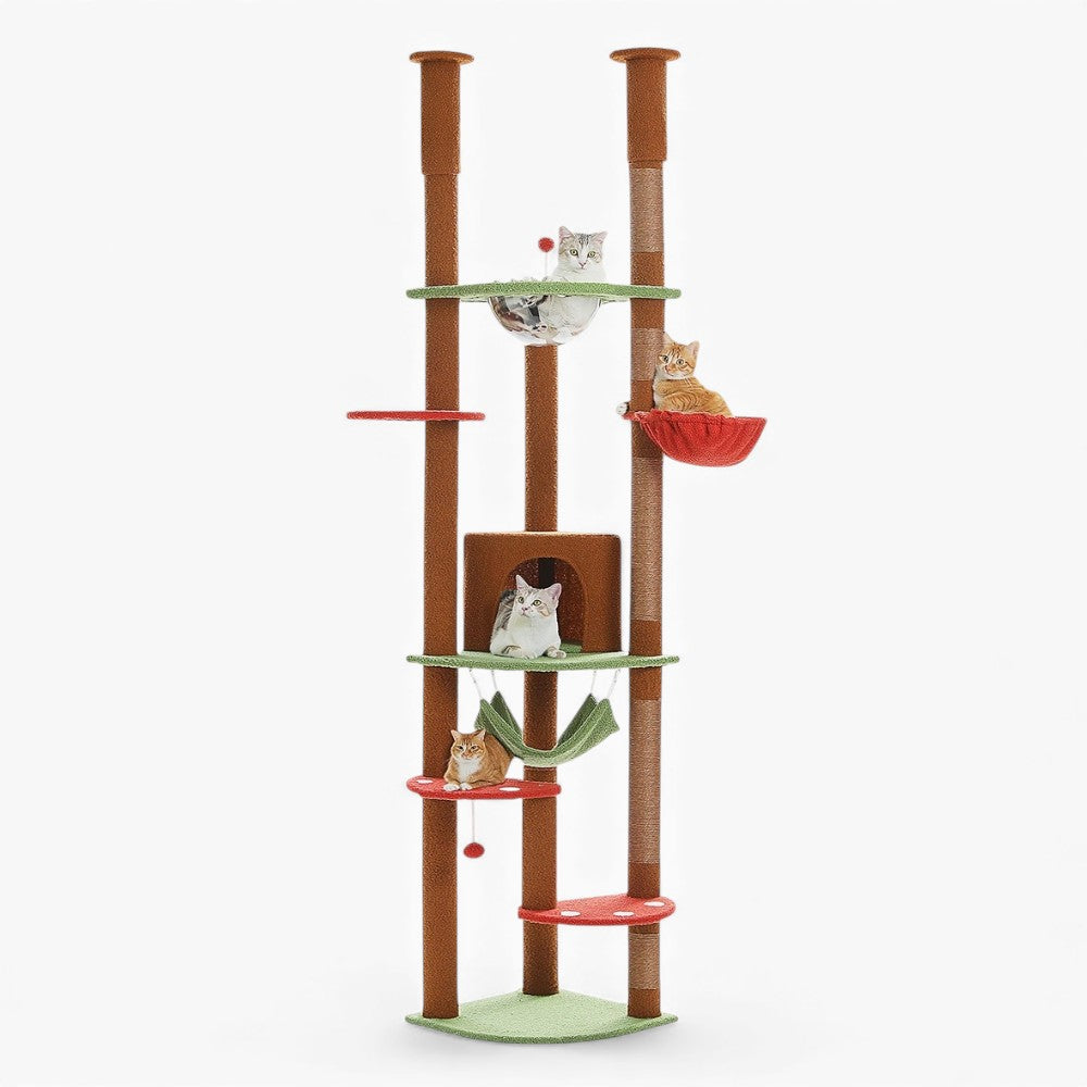 Arbre À Chat - Choco