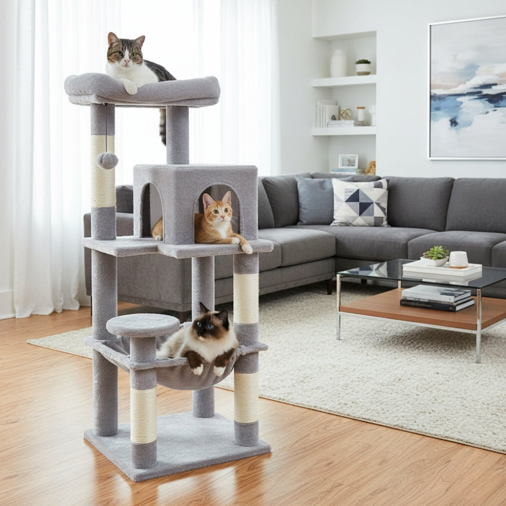 Arbre À Chat - Nala