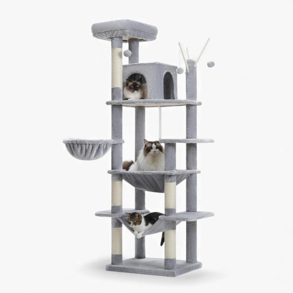 Arbre À Chat - Azur