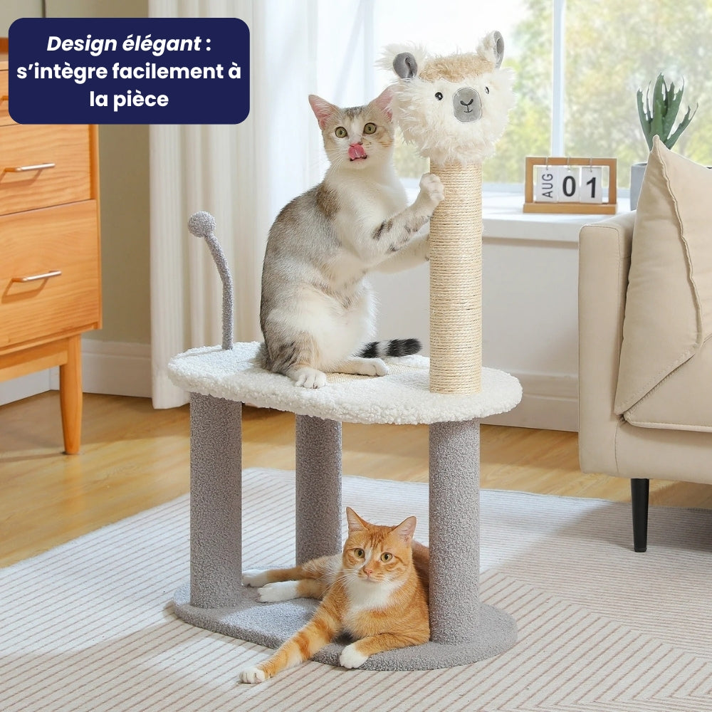 Arbre À Chat - Jack