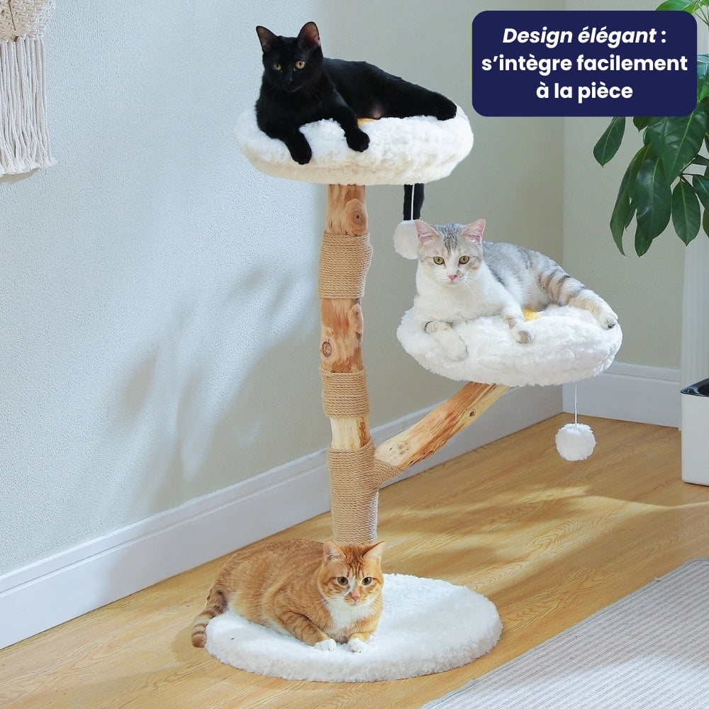 Arbre À Chat - Tiger