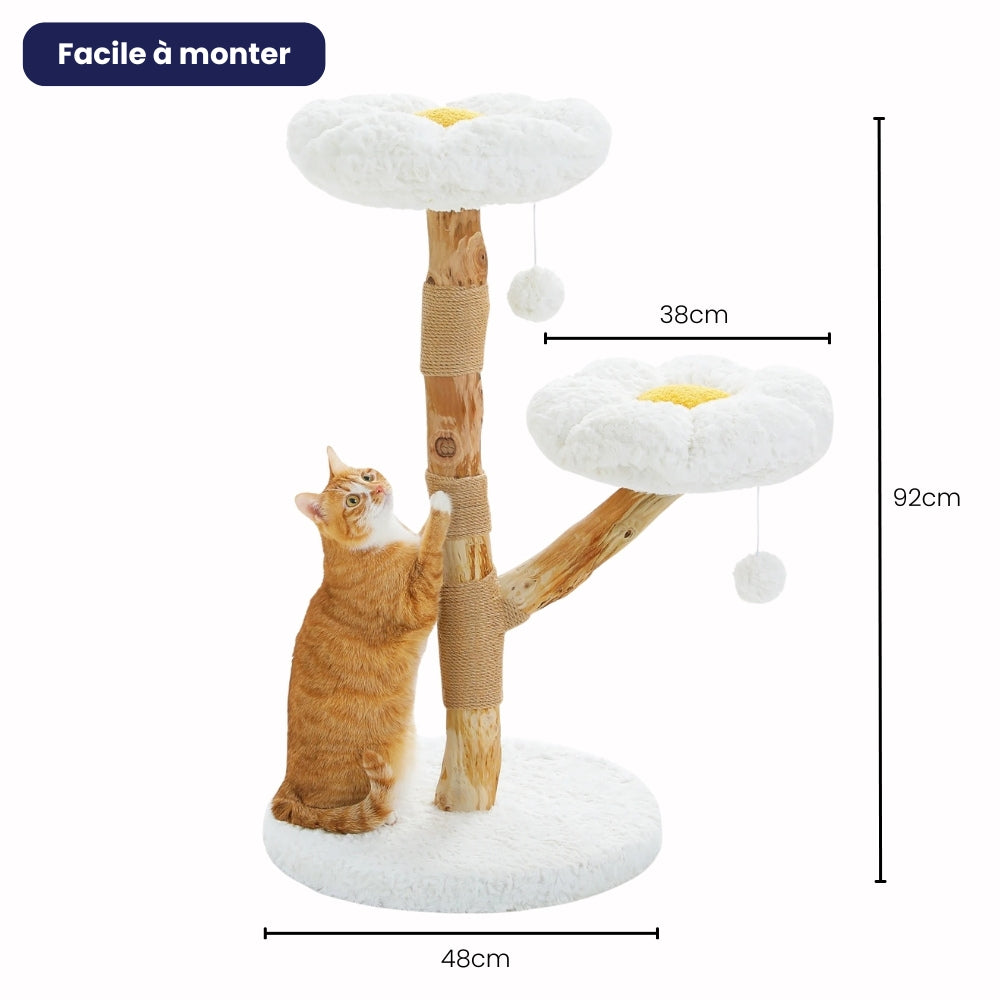 Arbre À Chat - Tiger