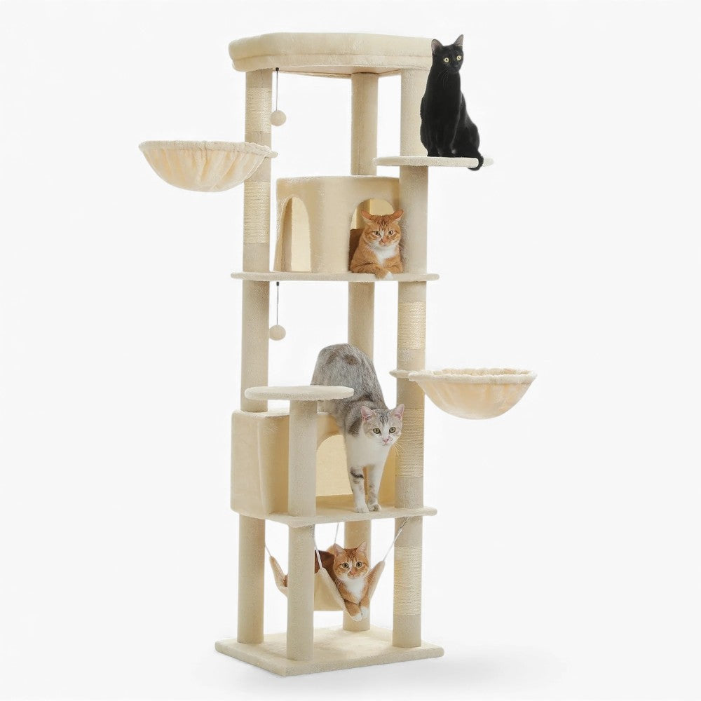 Arbre À Chat - Shadow