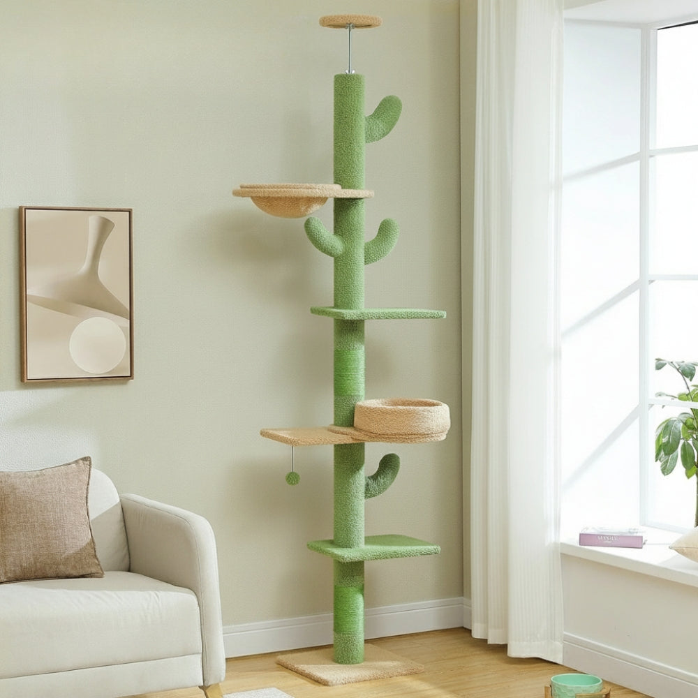 Arbre À Chat - Roky