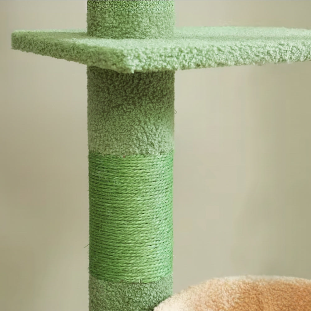 Arbre À Chat - Roky