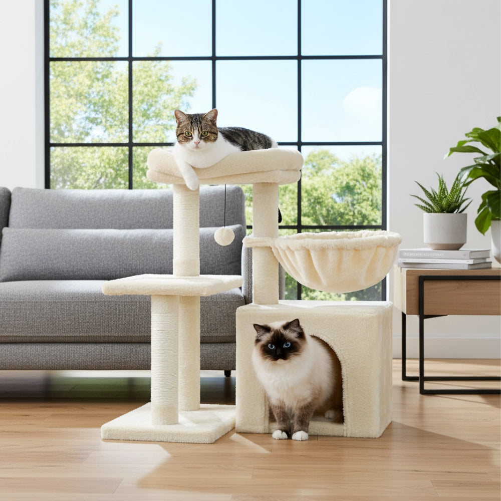 Arbre À Chat - Lucky