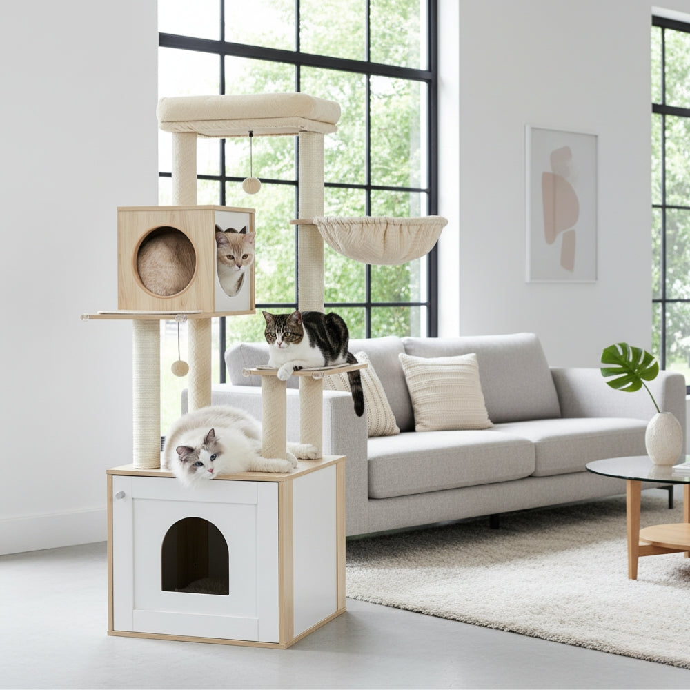 Arbre À Chat - Milou