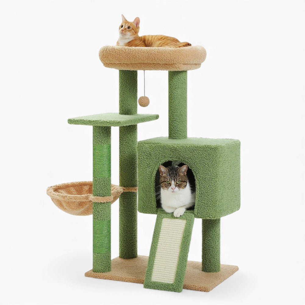 Arbre À Chat - Paddy