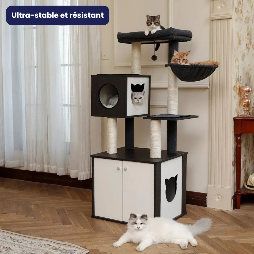 Arbre À Chat - Nuage