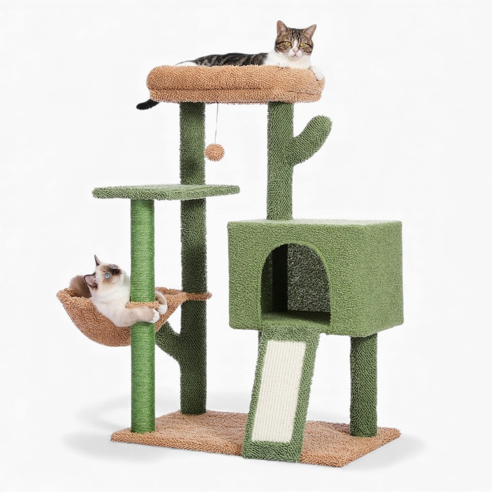 Arbre À Chat - Youna