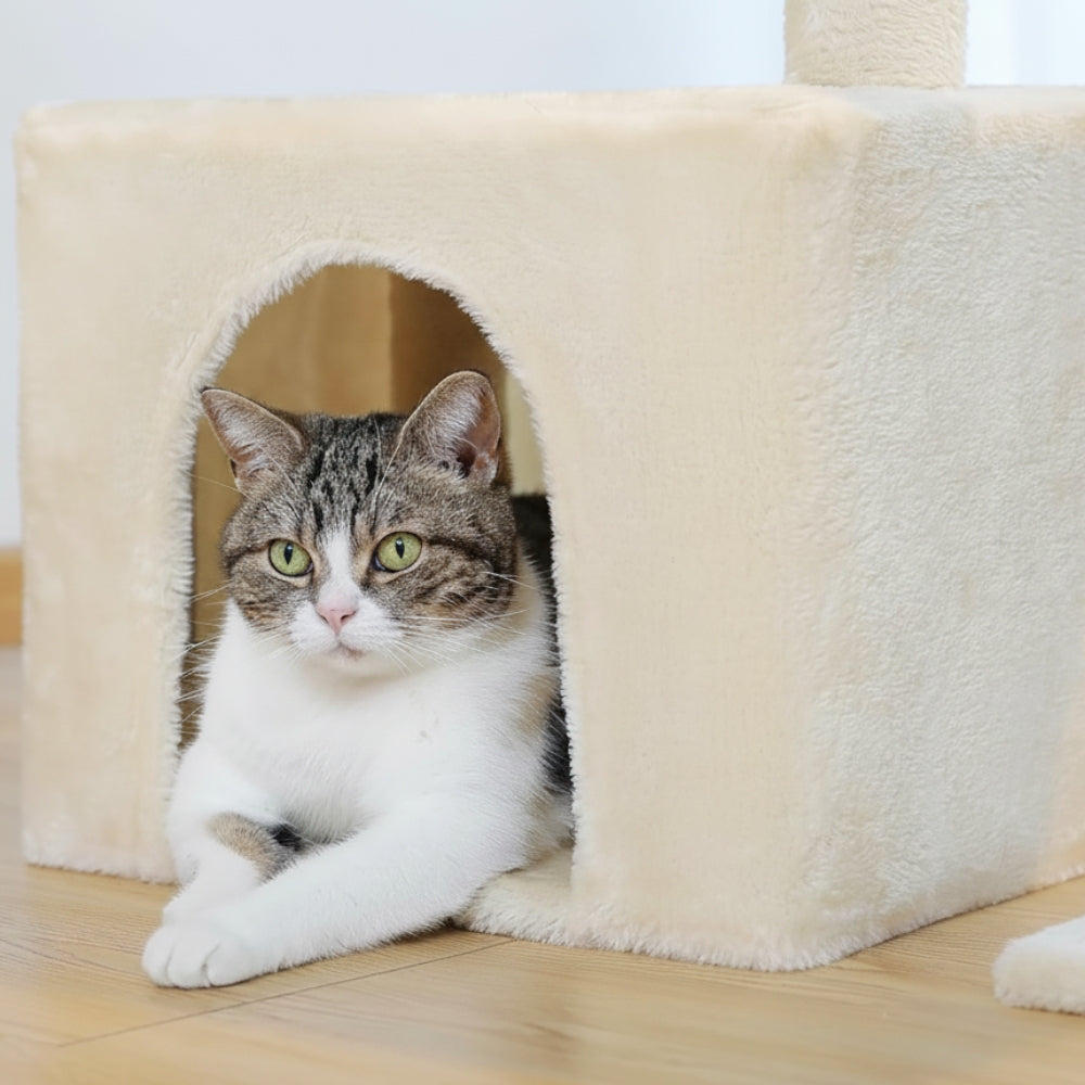 Arbre À Chat - Lucky