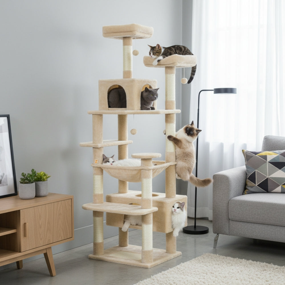 Arbre À Chat - Simba