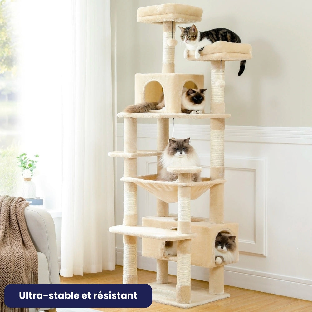 Arbre À Chat - Simba