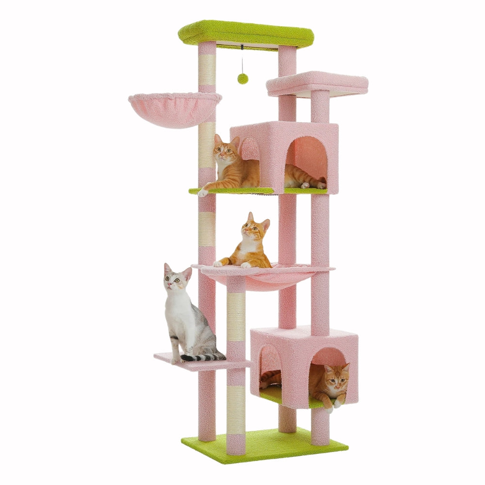 Arbre À Chat - Athéna