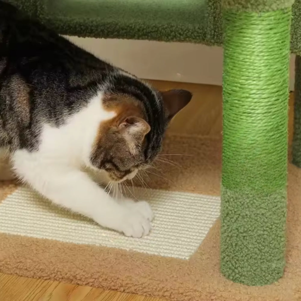 Arbre À Chat - Miou