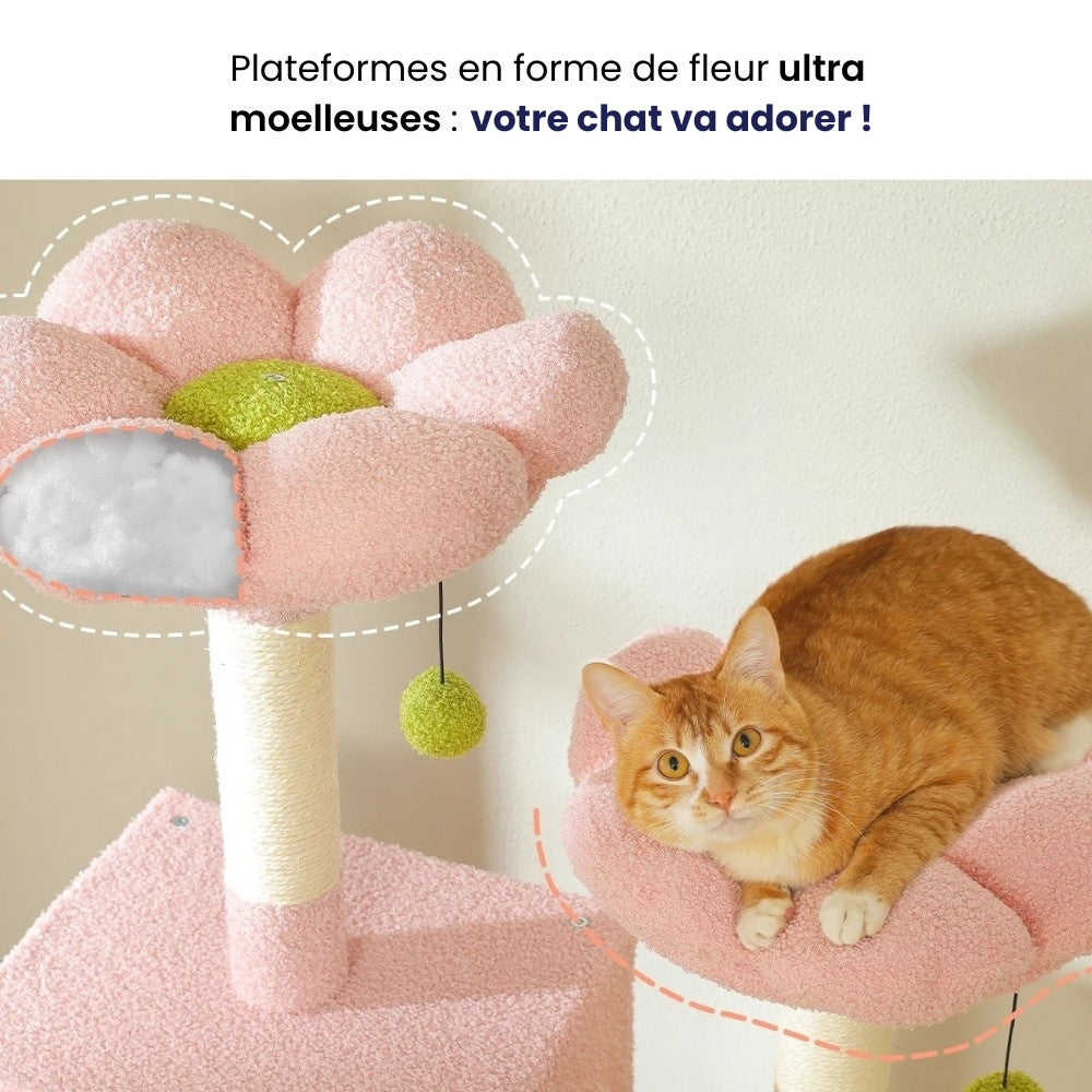 Arbre À Chat - Atena