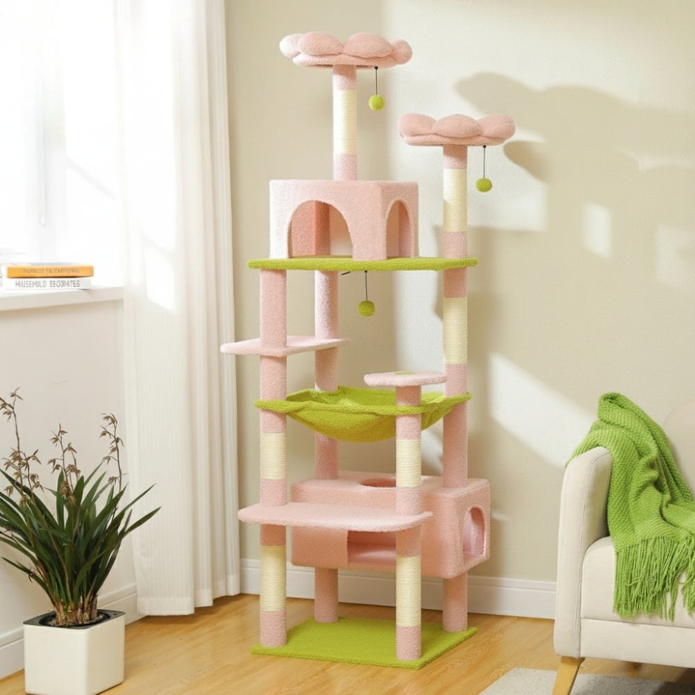 Arbre À Chat - Atena