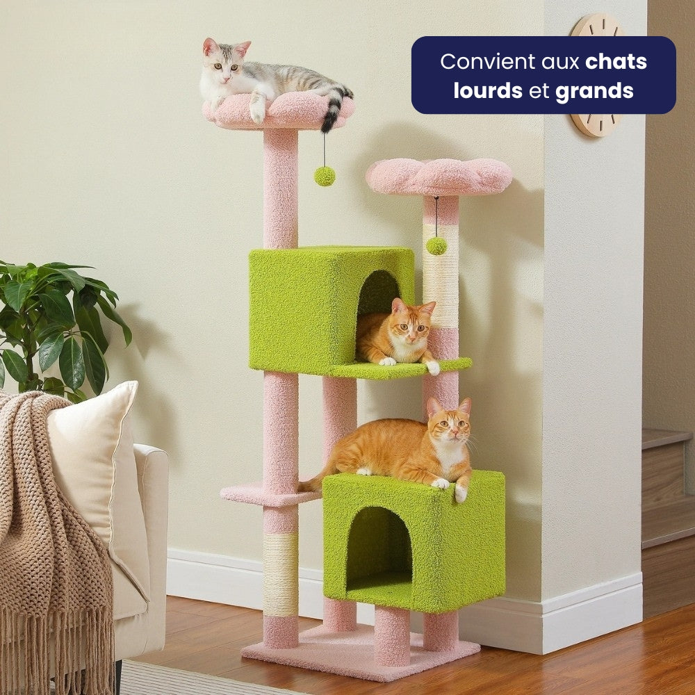 Arbre À Chat - Roxy