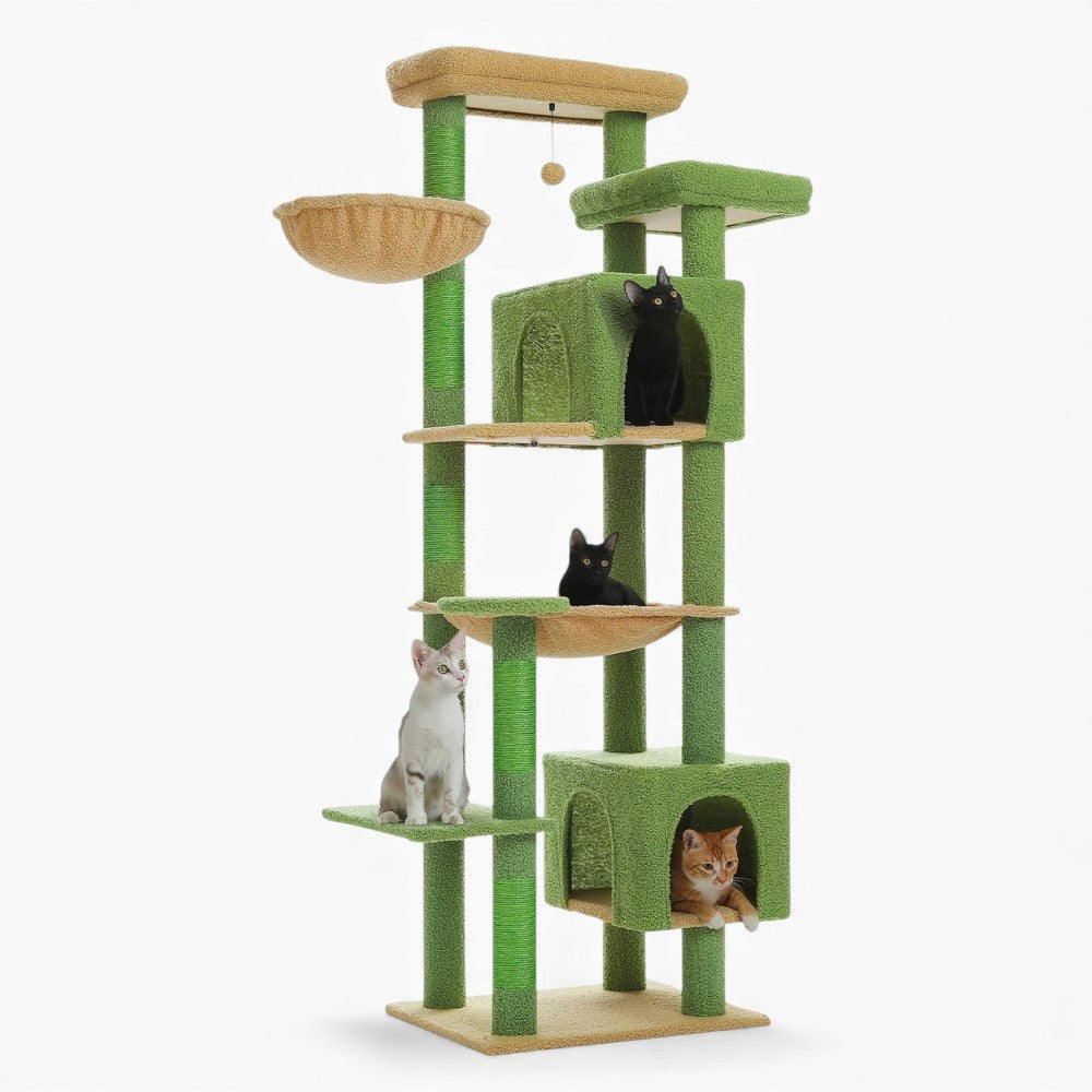 Arbre À Chat - Anoïa