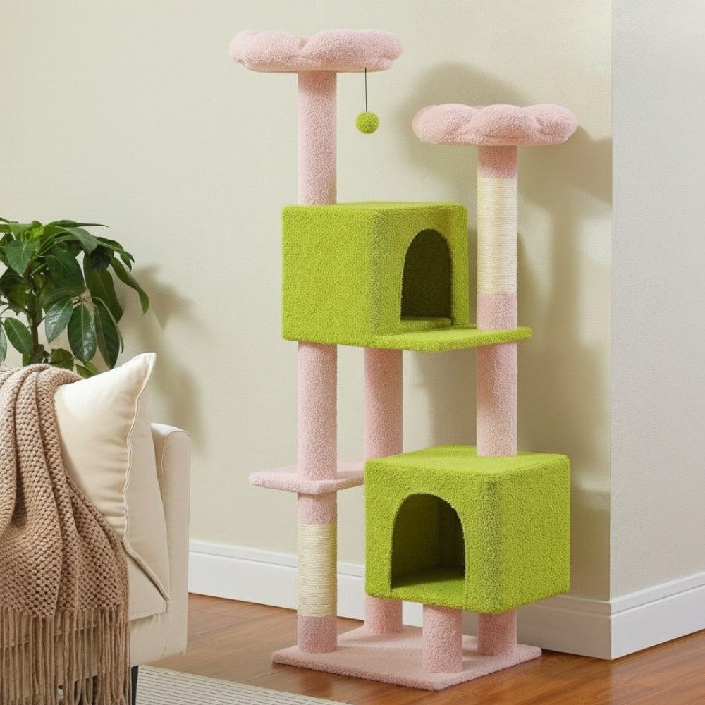 Arbre À Chat - Roxy