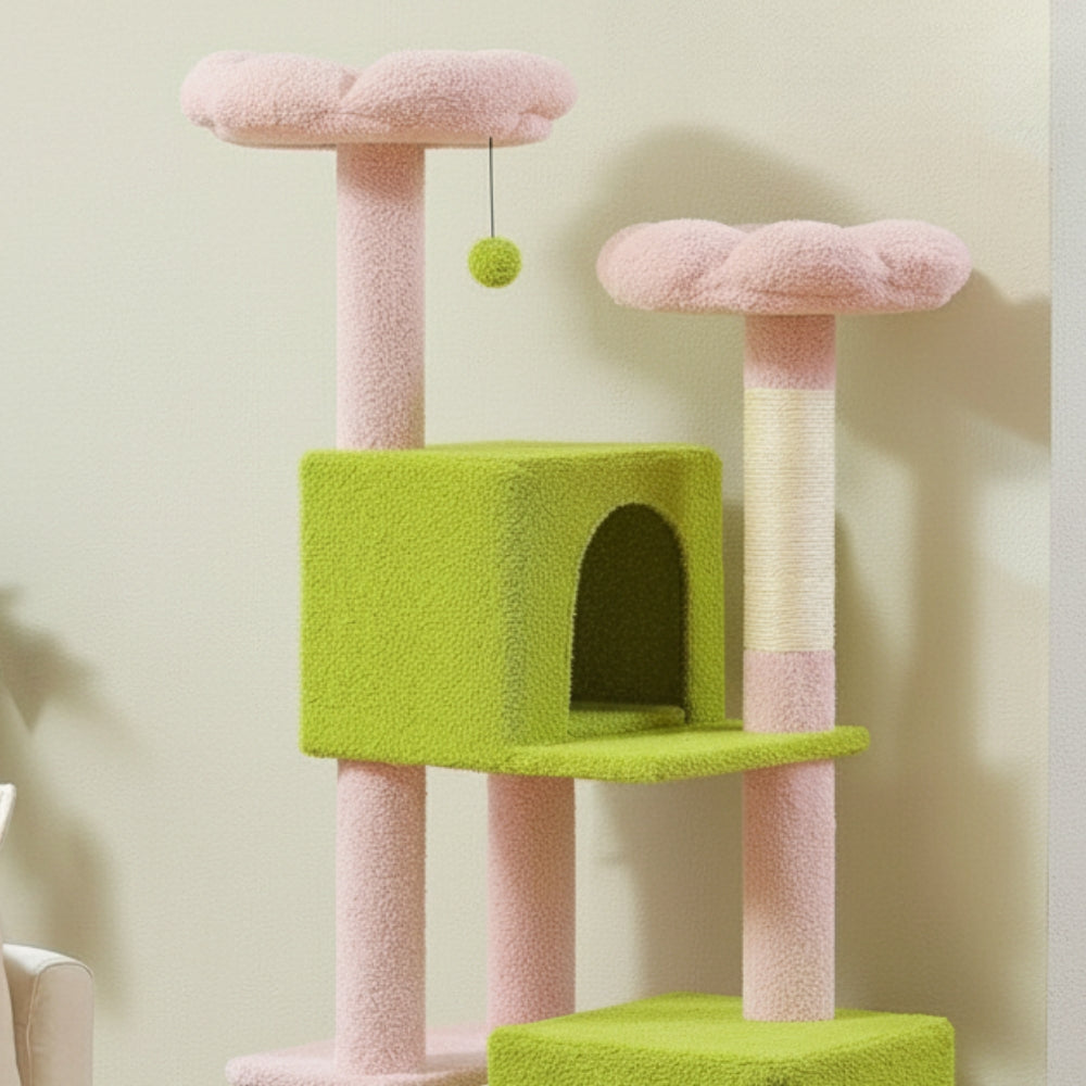 Arbre À Chat - Roxy