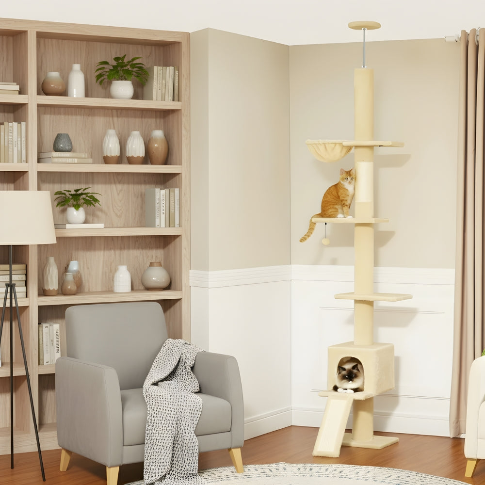 Arbre À Chat - Buddy