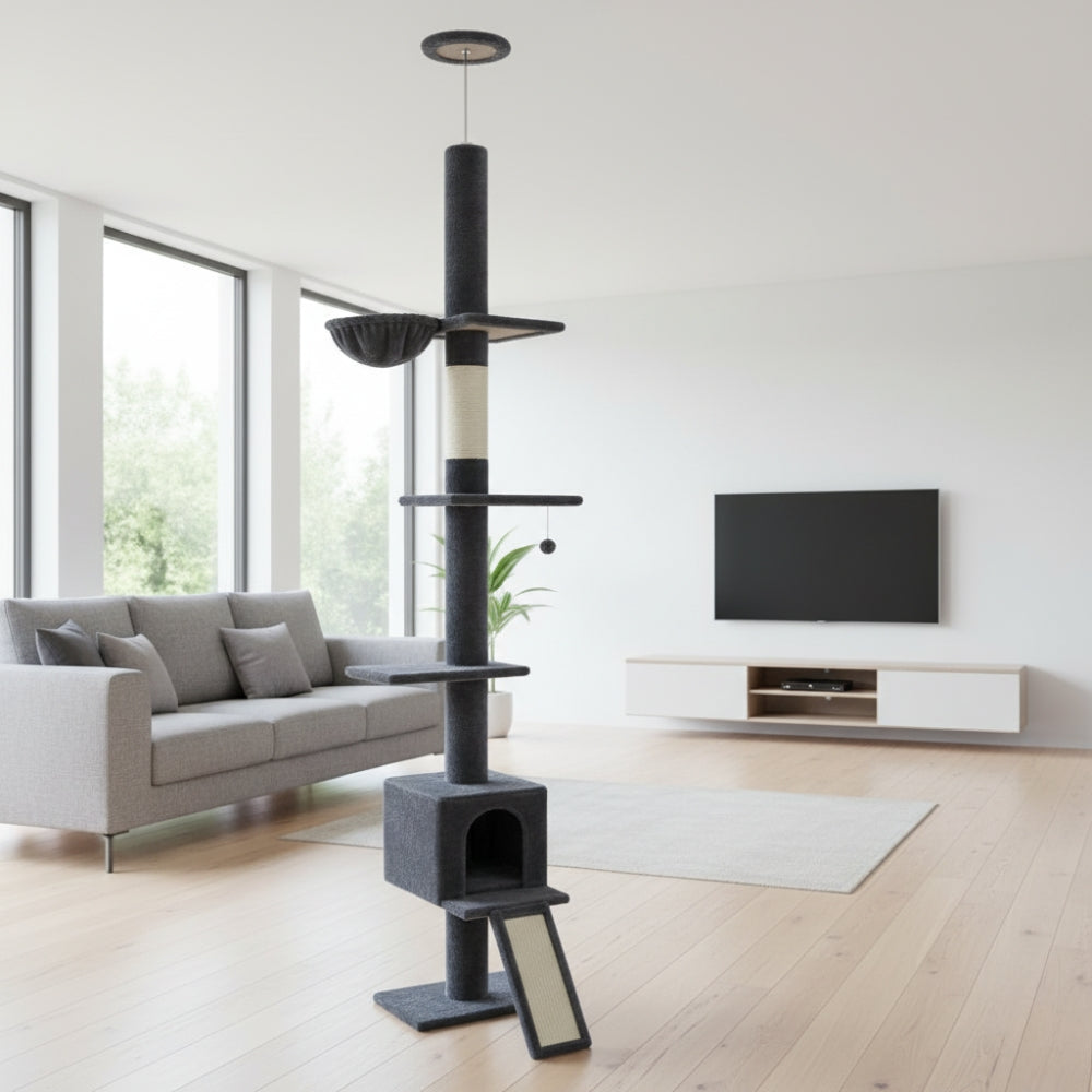 Arbre À Chat - Alex