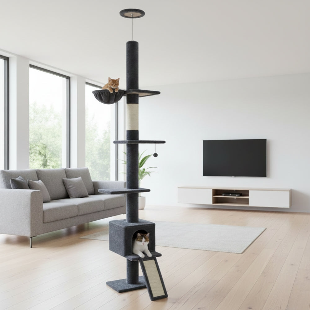 Arbre À Chat - Alex