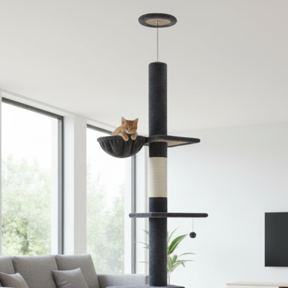 Arbre À Chat - Alex