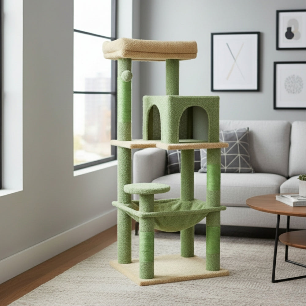 Arbre À Chat - Tigrou