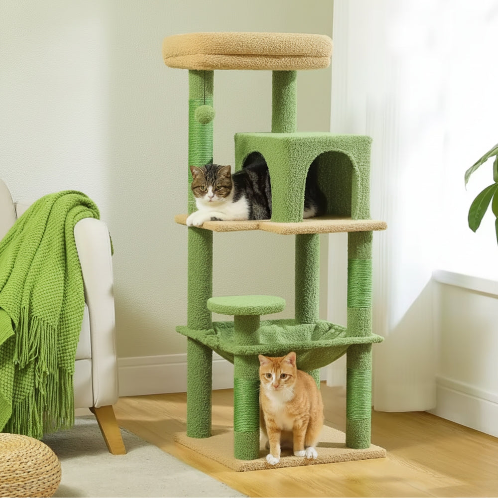 Arbre À Chat - Tigrou