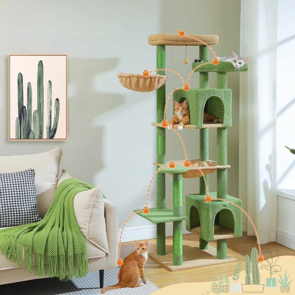 Arbre À Chat - Anoïa