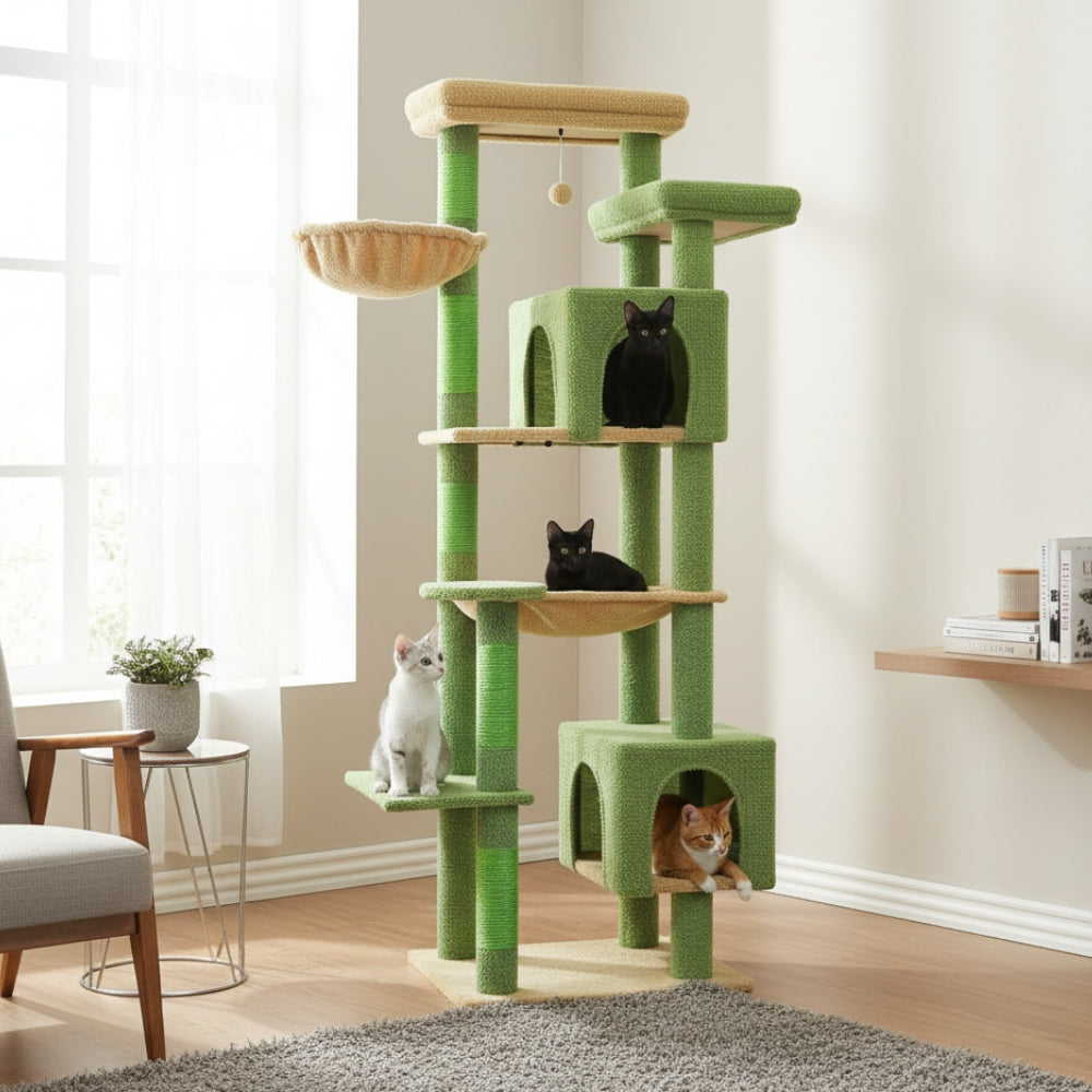 Arbre À Chat - Anoïa